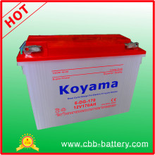 Electric Vehicle Battery Tricycle Battery Deep Cycle 6-Dg-170